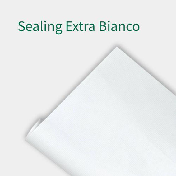 Sealing Extra Bianco