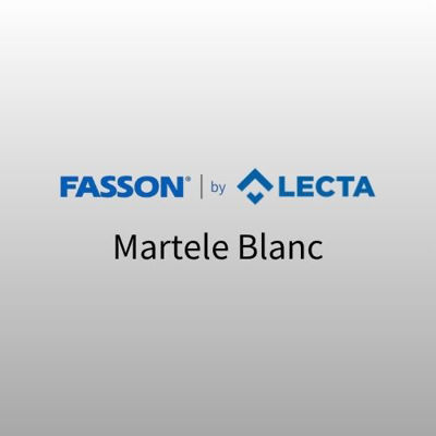 Slika FASSON Martele Blanc Permanent Scored NI 50 x 70 cm 1/200 FSC Mix Credit (FMB90P001)